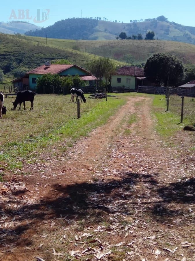 Sítio para Venda em Centro Borda da Mata-MG