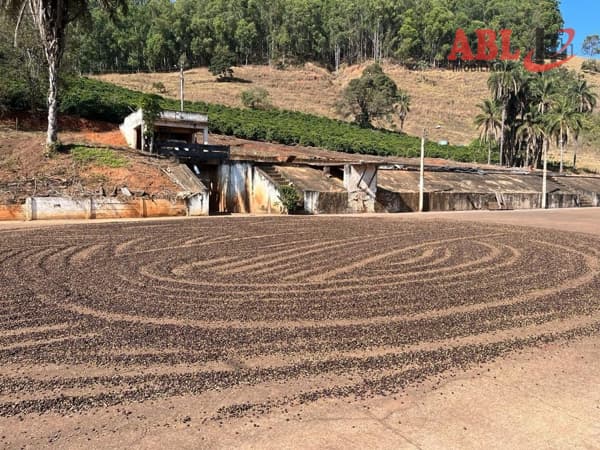 Fazenda Lavoura de café
