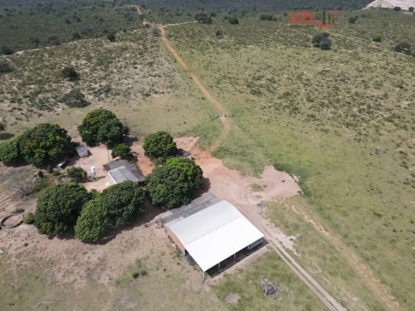 Fazenda Pecuária para Venda em Setor Central Serranópolis-GO