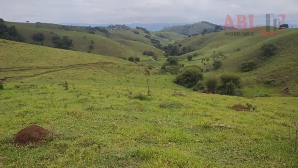 Lote/Terreno em Cambuí - Centro