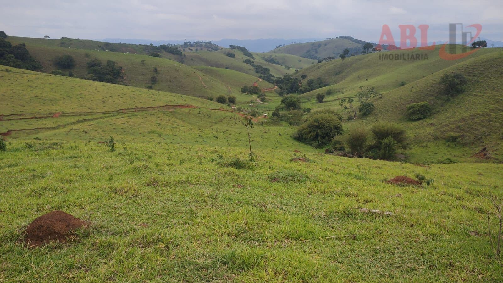 Lote/Terreno em Cambuí - Centro