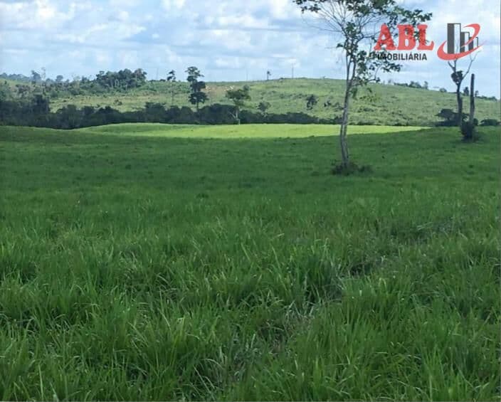 Fazenda/Sítios/Chácaras em Uruará - Centro