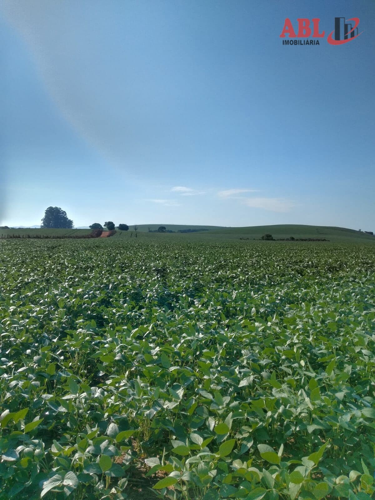 Fazenda/Sítios/Chácaras em Cordislândia - Centro