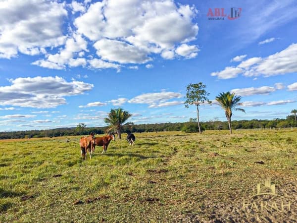 Fazenda para Venda em Centro Chapada Gaúcha-MG