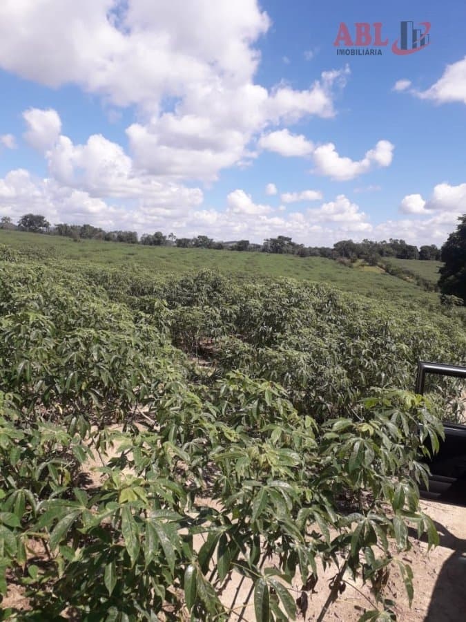 Fazenda para Venda em Centro Pouso Alegre-MG