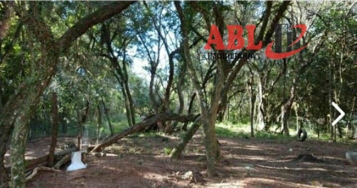 Terreno para Venda