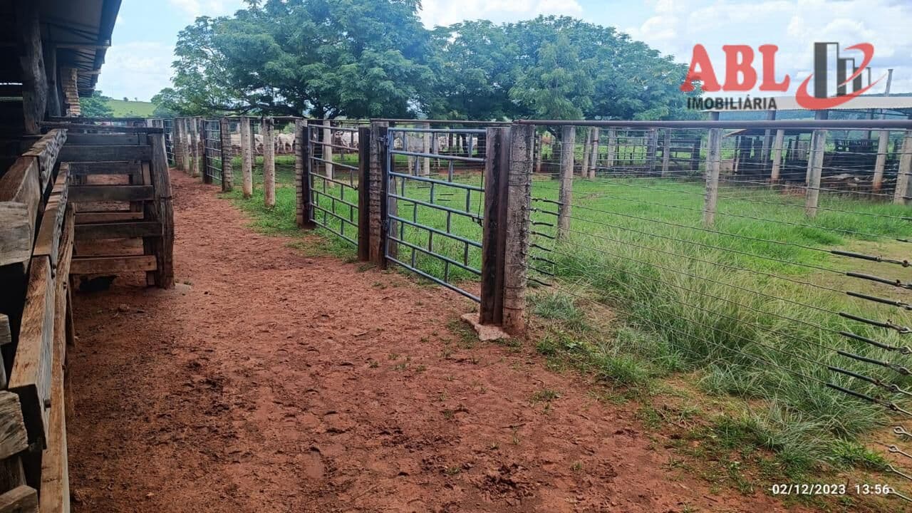 Fazenda/Sítios/Chácaras em Comendador Gomes - Centro