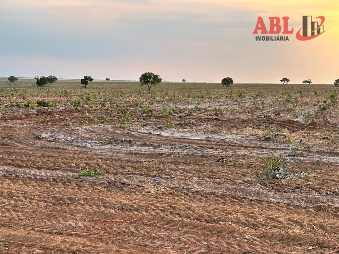 Fazenda/Sítios/Chácaras em São Desidério - Centro