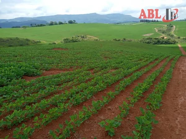 Fazenda/Sítios/Chácaras em Cruzília - Centro