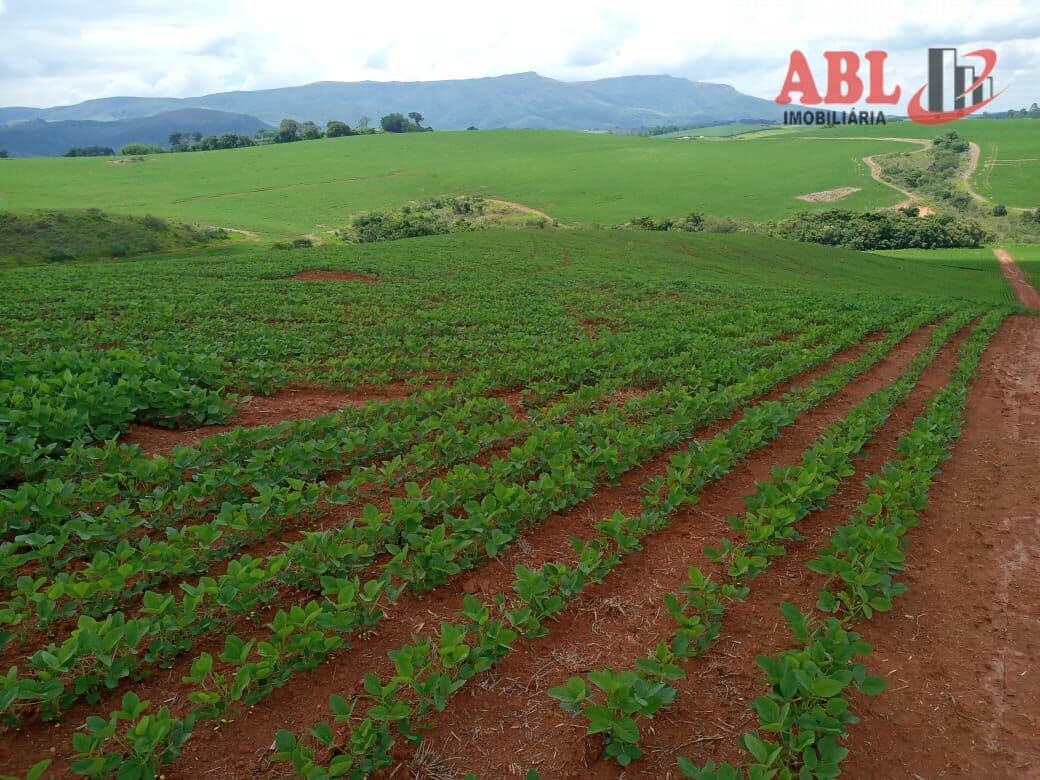Fazenda/Sítios/Chácaras em Cruzília - Centro