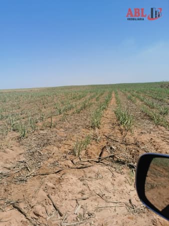 Fazenda/Sítios/Chácaras em Santa Maria da Serra - Centro