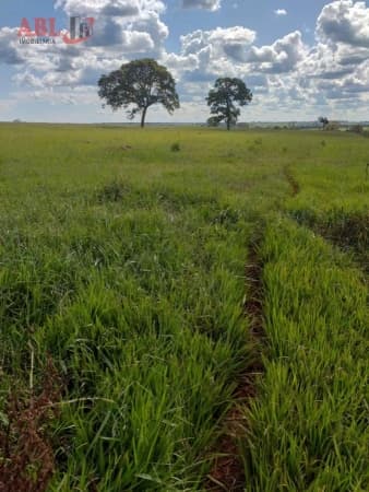 Fazenda Lavoura para Venda em Centro Campina Verde-MG