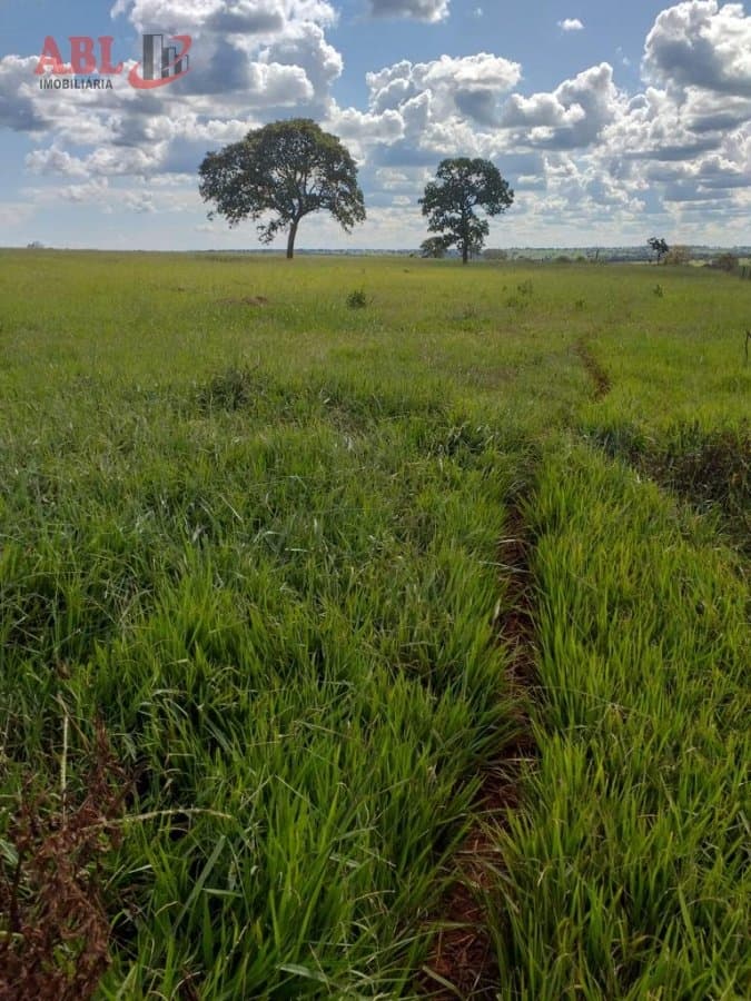Fazenda Lavoura para Venda em Centro Campina Verde-MG