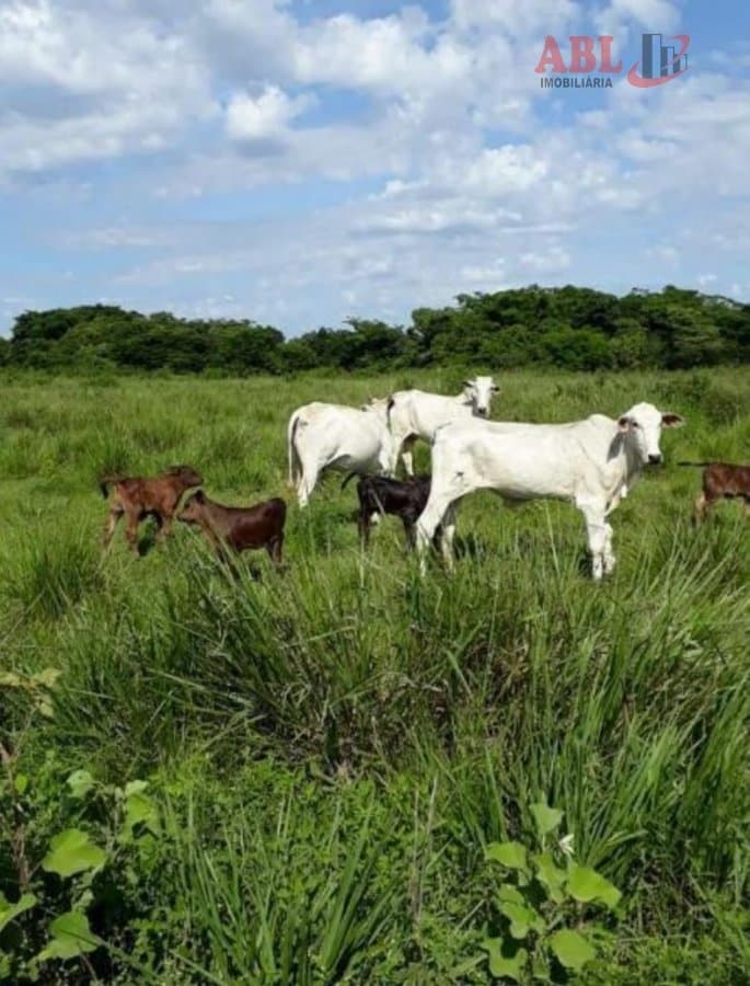 Fazenda para Venda em Centro Bonfinópolis de Minas-MG
