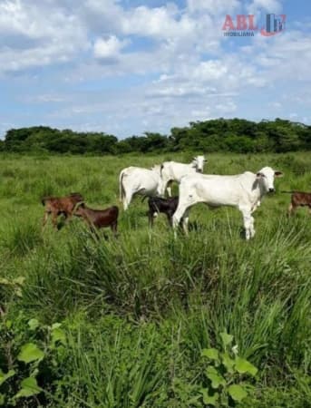Fazenda para Venda em Centro Bonfinópolis de Minas-MG