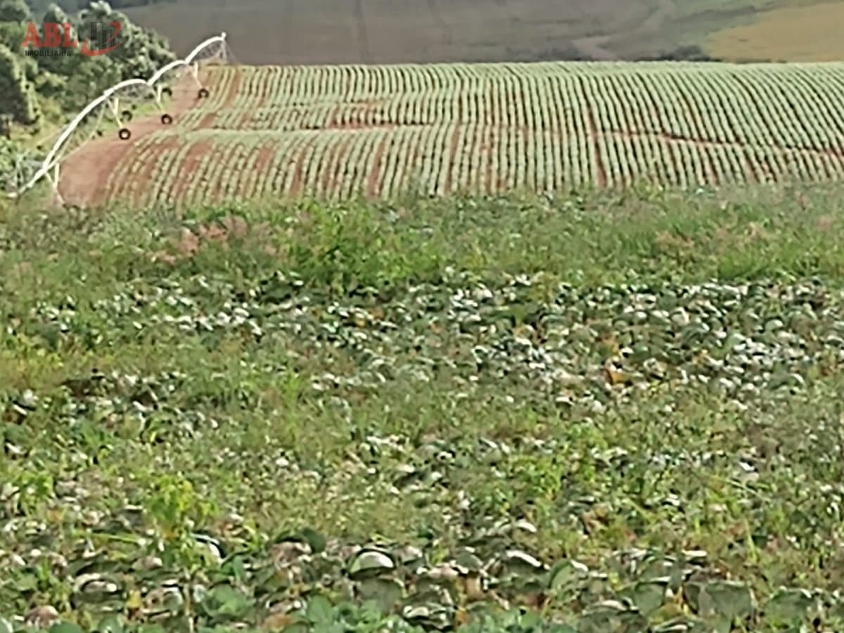 Fazenda para Venda em Centro Poços de Caldas-MG