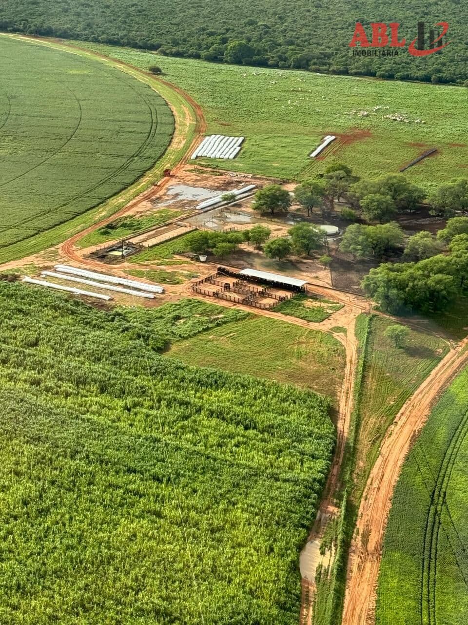 Fazenda/Sítios/Chácaras em Manga - Centro