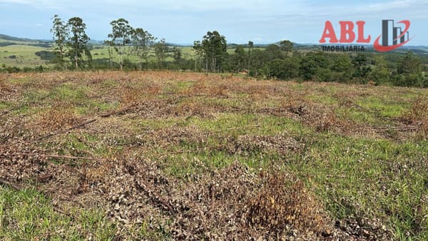 Fazenda/Sítios/Chácaras em Santo Antônio do Amparo - Centro