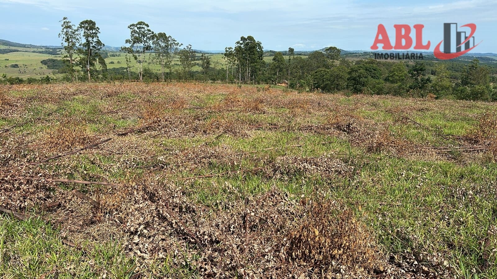 Fazenda/Sítios/Chácaras em Santo Antônio do Amparo - Centro