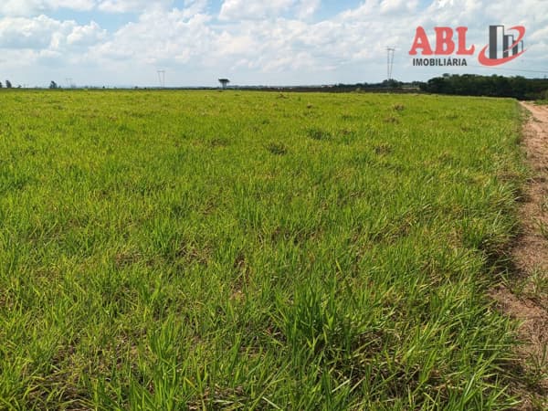 Fazenda/Sítios/Chácaras em Tambaú - Centro