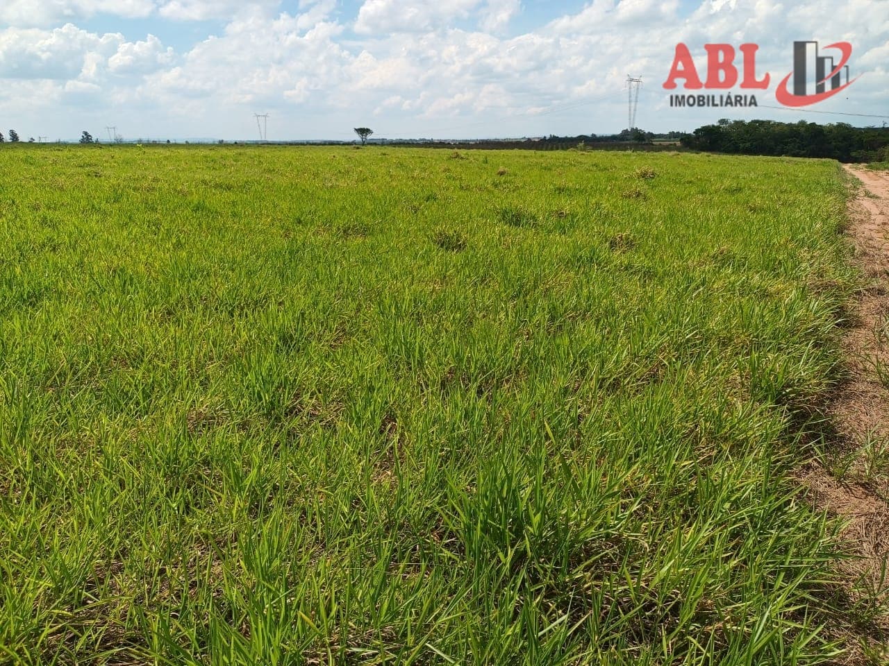 Fazenda/Sítios/Chácaras em Tambaú - Centro