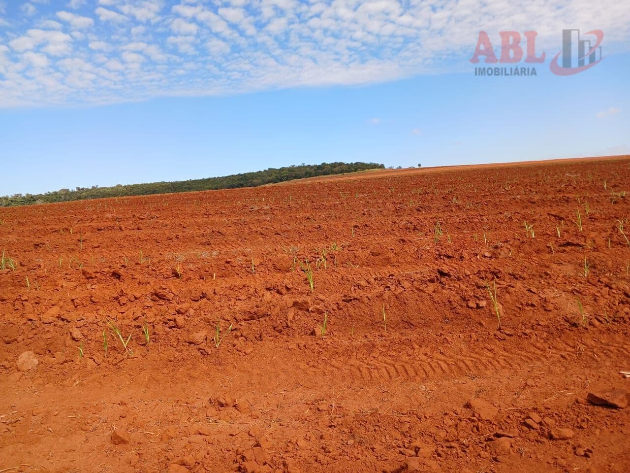 Fazenda/Sítios/Chácaras em Uberaba - Área Rural de Uberaba