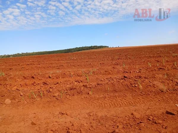 Fazenda/Sítios/Chácaras em Uberaba - Área Rural de Uberaba