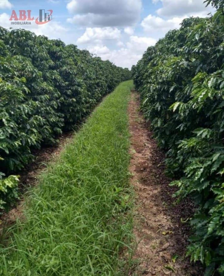 Fazenda Lavoura para Venda em Centro Guapé-MG