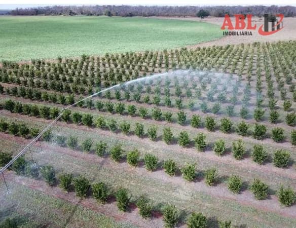 Fazenda/Sítios/Chácaras em Votuporanga - COHAB
