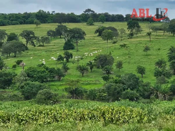 Fazenda/Sítios/Chácaras em Aparecida do Taboado - Centro
