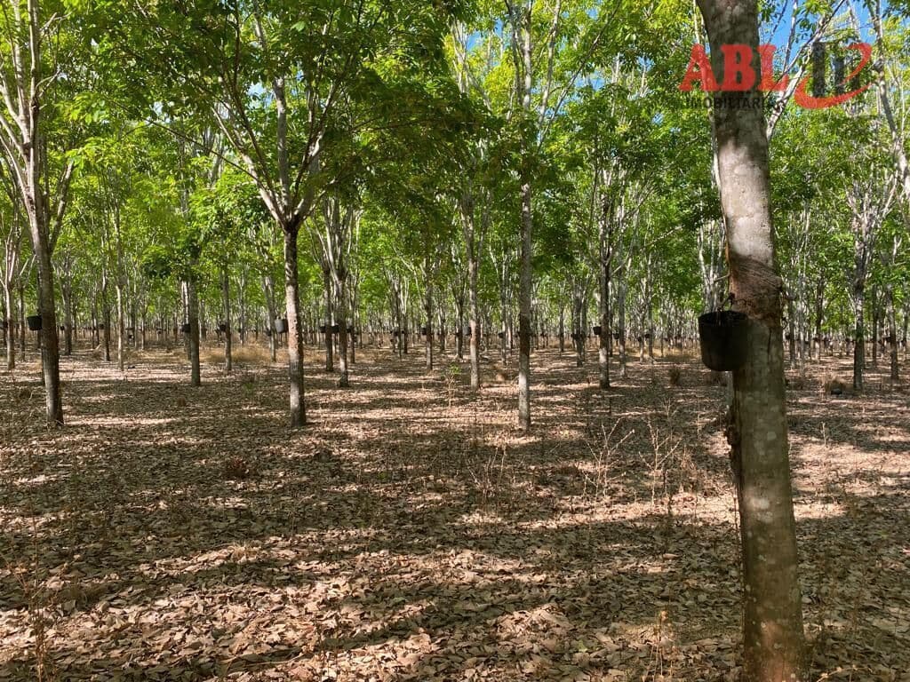 Fazenda/Sítios/Chácaras em Cocalinho - Centro
