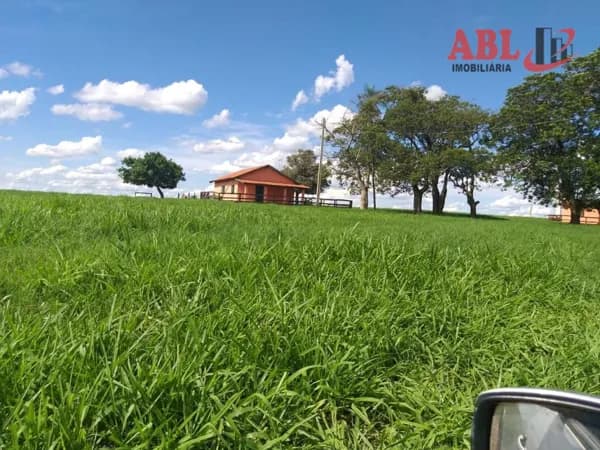 Fazenda/Sítios/Chácaras em Penápolis - Centro