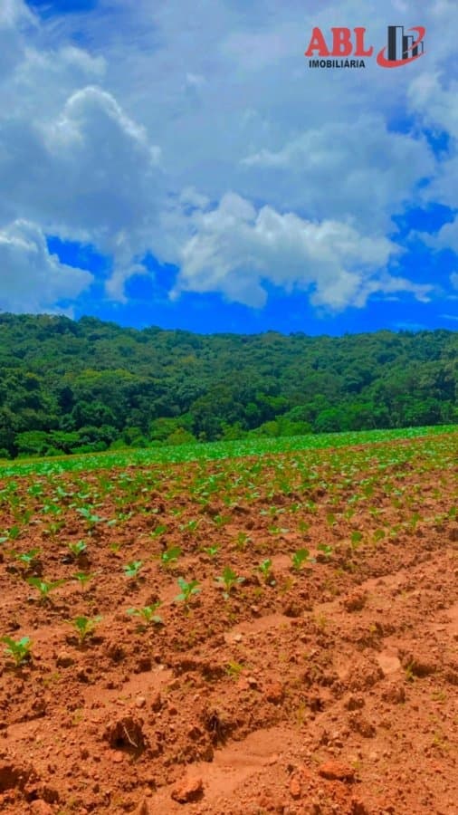 Fazenda para Venda em Centro Pouso Alegre-MG
