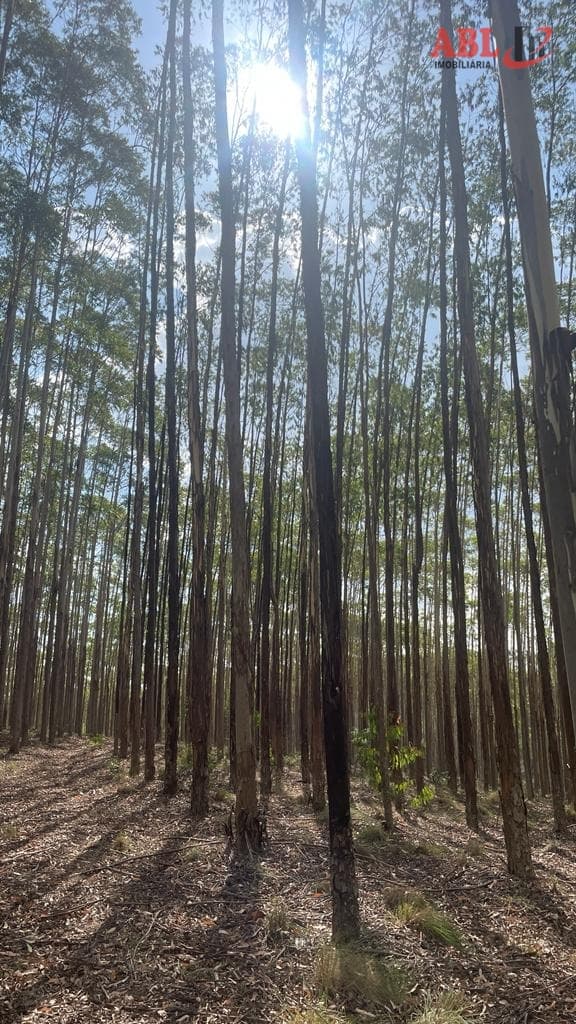 Fazenda/Sítios/Chácaras em Manduri - Centro
