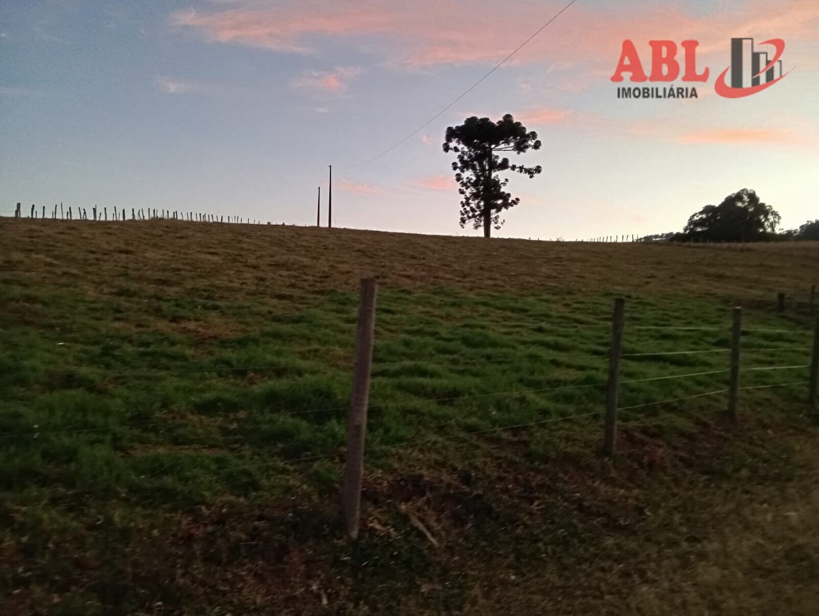 Fazenda/Sítios/Chácaras em Bueno Brandão - Centro