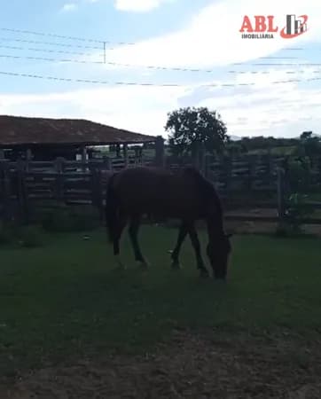 Fazenda/Sítios/Chácaras em Capitão Enéas - Centro