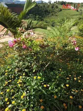 Fazenda/Sítios/Chácaras em Estiva - Centro