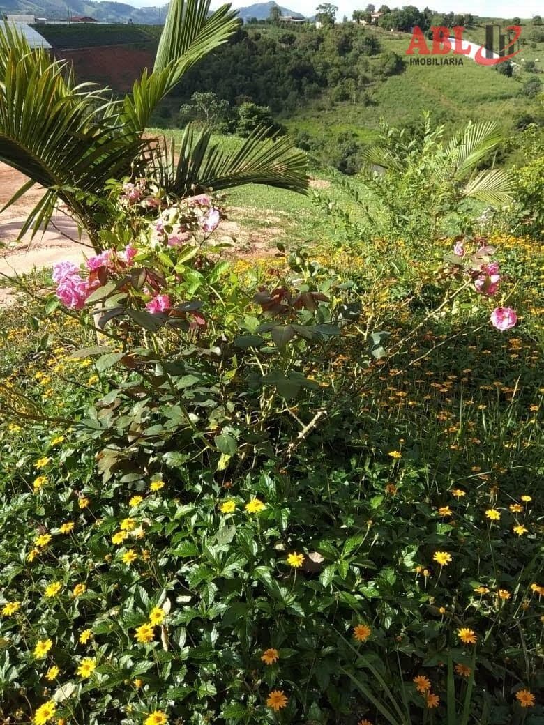 Fazenda/Sítios/Chácaras em Estiva - Centro
