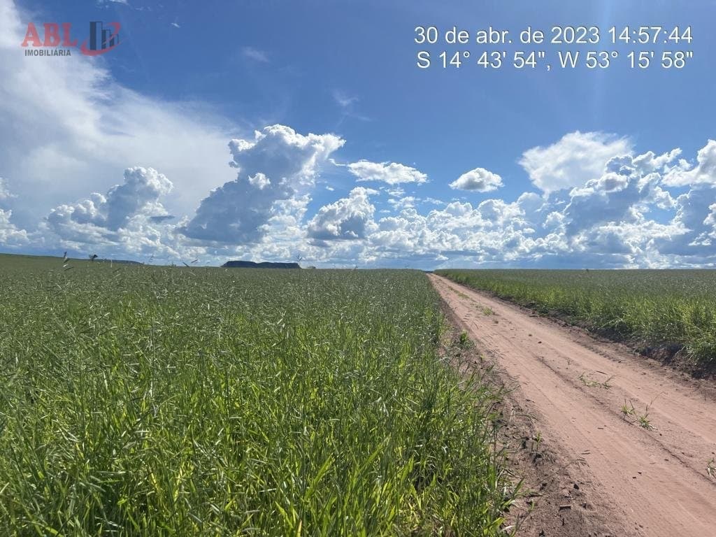 Fazenda para Venda em Centro Campinápolis-MT
