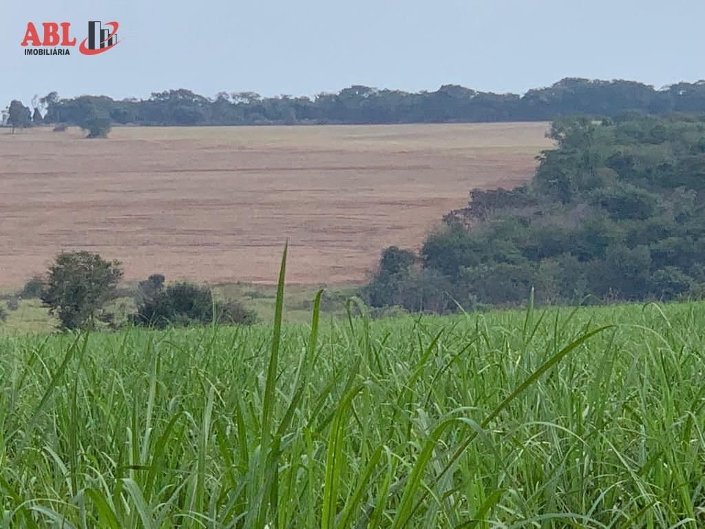 Fazenda para Venda em Centro São José do Rio Preto-SP