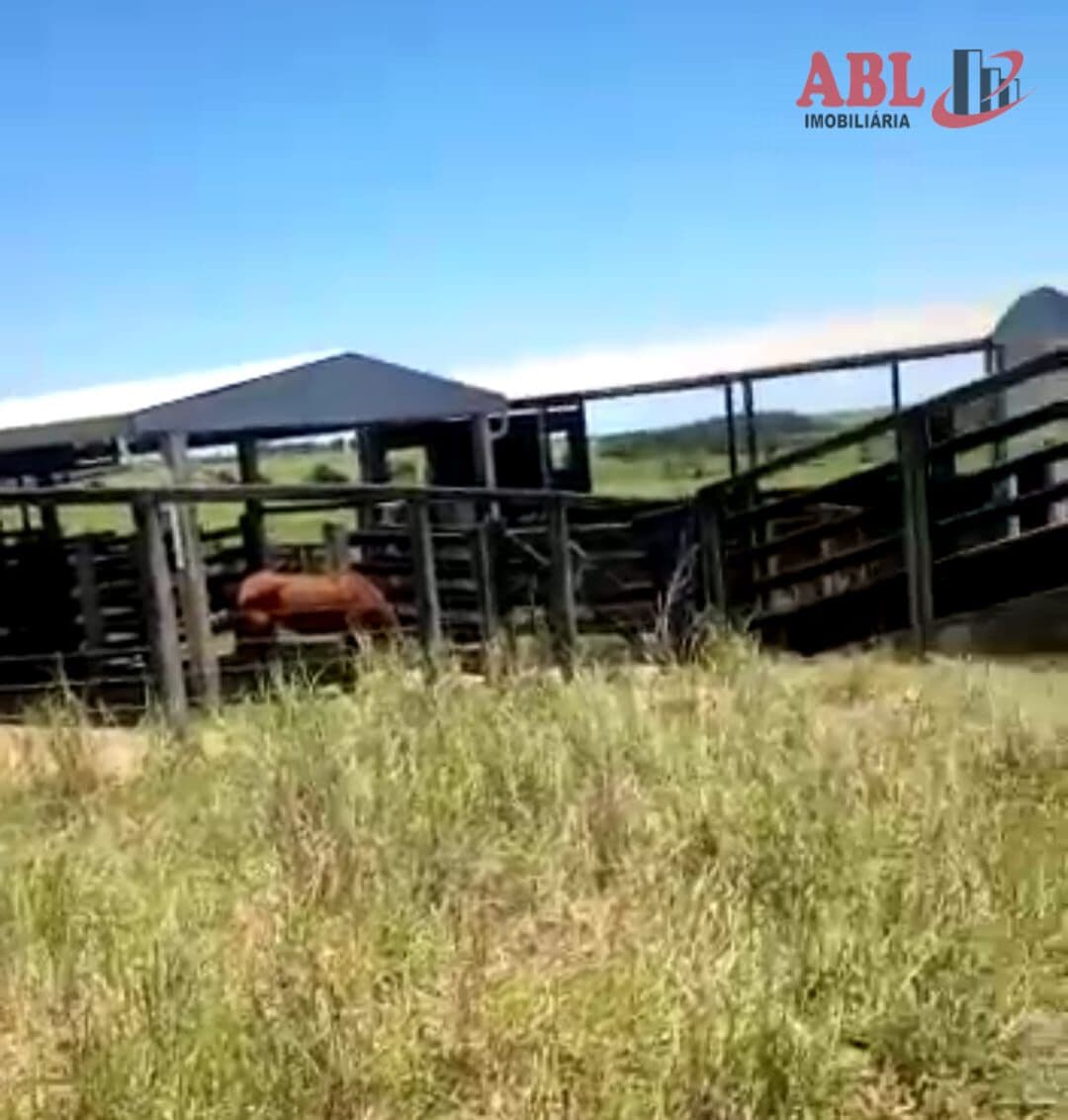 Fazenda/Sítios/Chácaras em Piedade - Centro