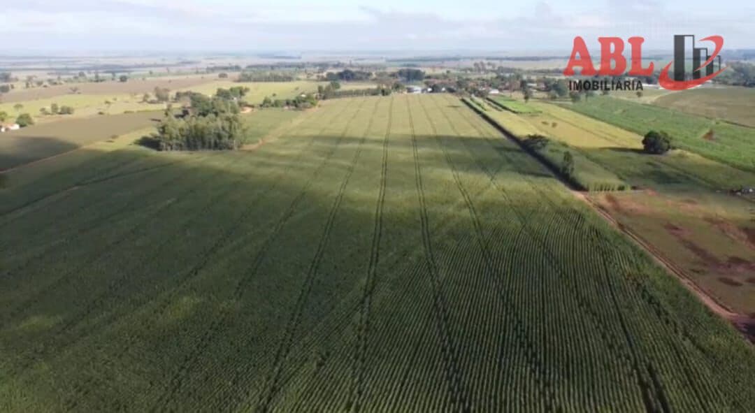 Fazenda/Sítios/Chácaras em Querência do Norte - Centro