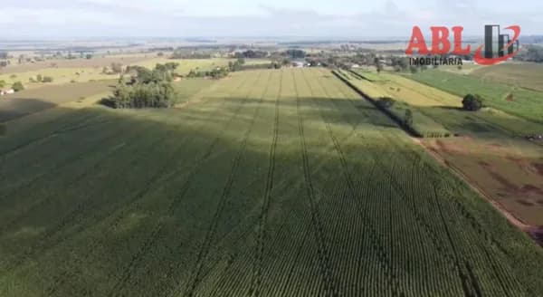 Fazenda/Sítios/Chácaras em Querência do Norte - Centro