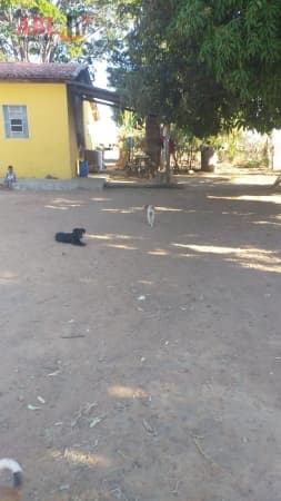 Fazenda para Venda