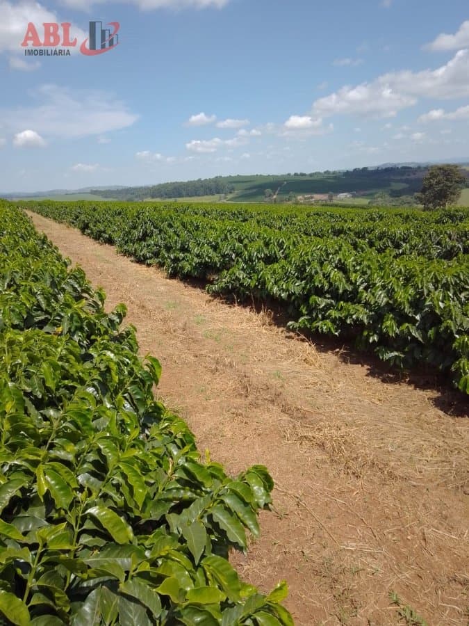 Fazenda para Venda em Centro Varginha-MG