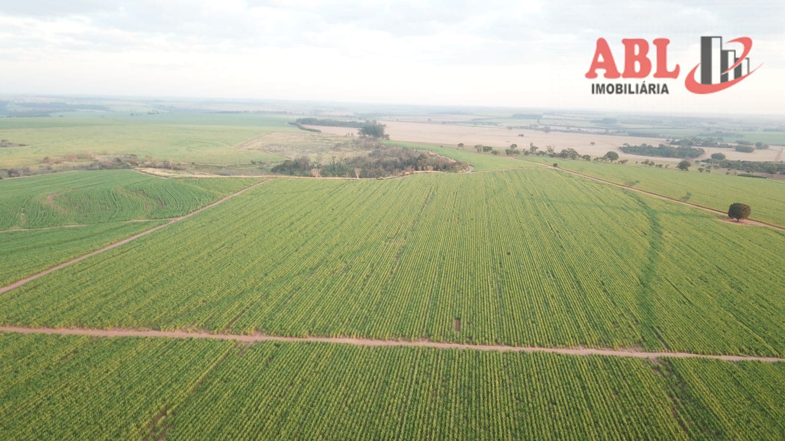Fazenda/Sítios/Chácaras em Itápolis - Centro