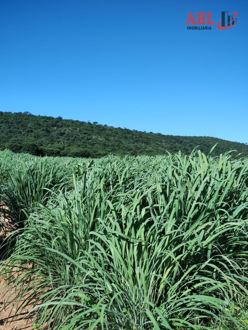 Fazenda/Sítios/Chácaras em Jaíba - Centro