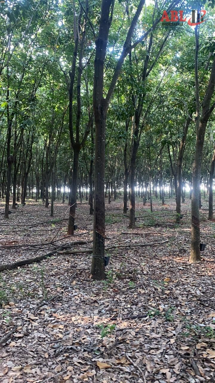 Fazenda/Sítios/Chácaras em Tanabi - Centro