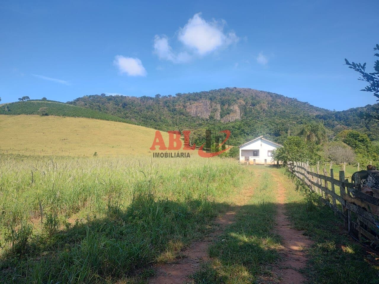 Fazenda/Sítios/Chácaras em Cachoeira de Minas - Centro