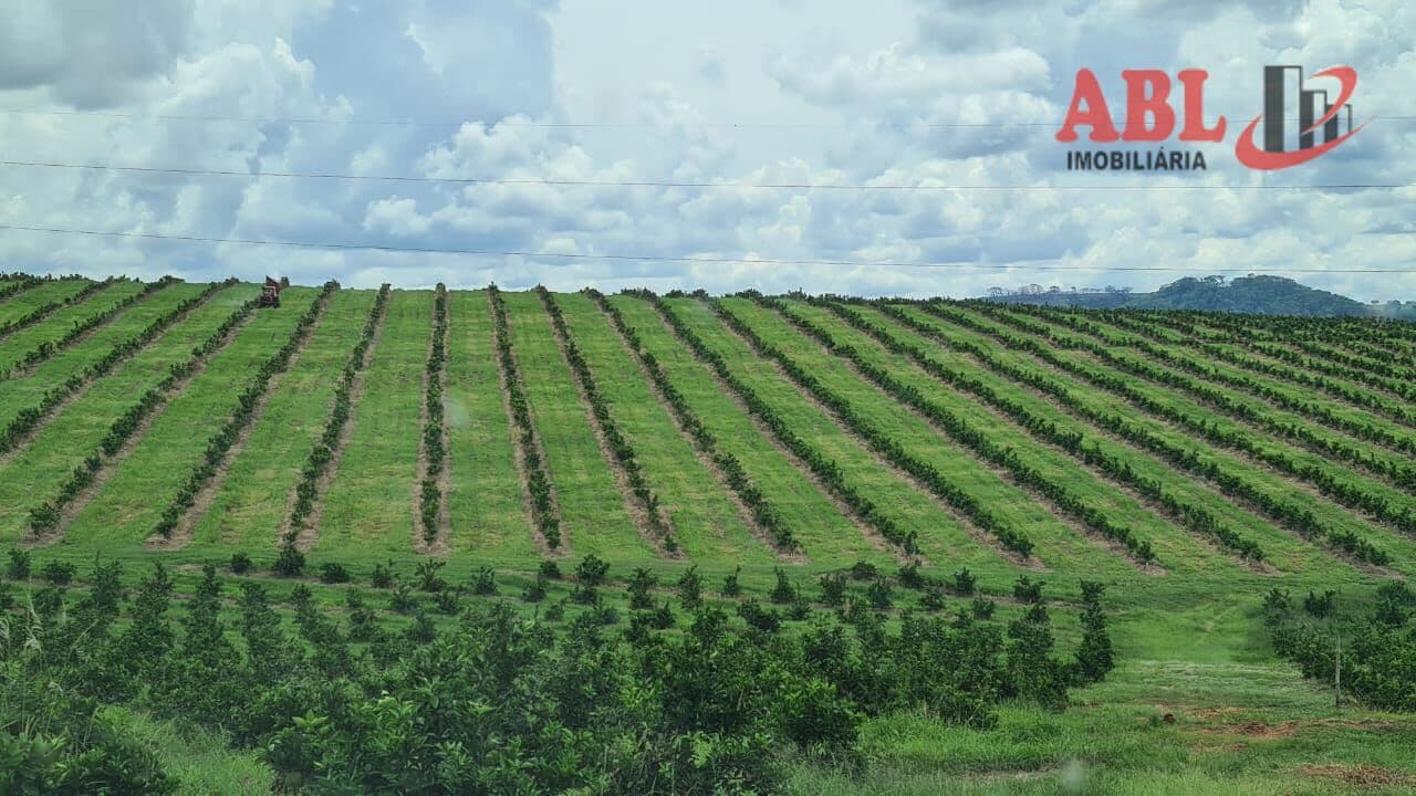 Fazenda/Sítios/Chácaras em Campina Verde - Centro